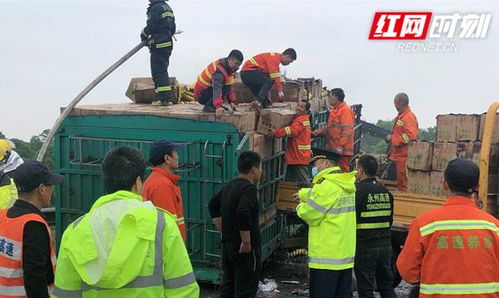 20余吨生鸡蛋差点全成烤鸡蛋 路政小哥忍住诱惑忙搬运